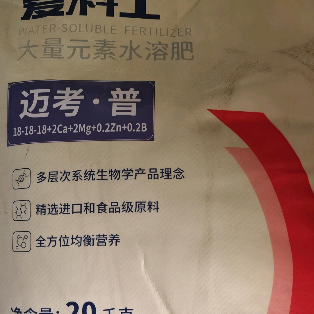 胡二村种好地