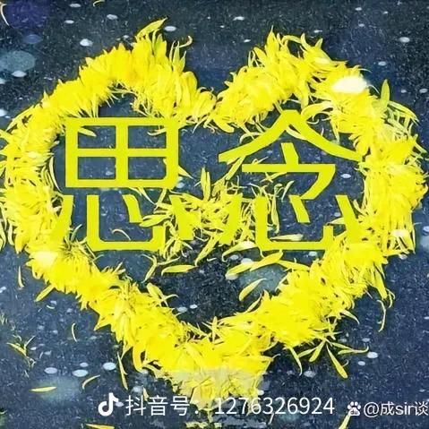 杨文娟