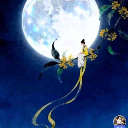 君子好逑🫶