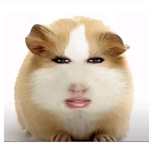 猪妞