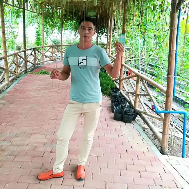 🐍七哥 🐍   梦想  🐍