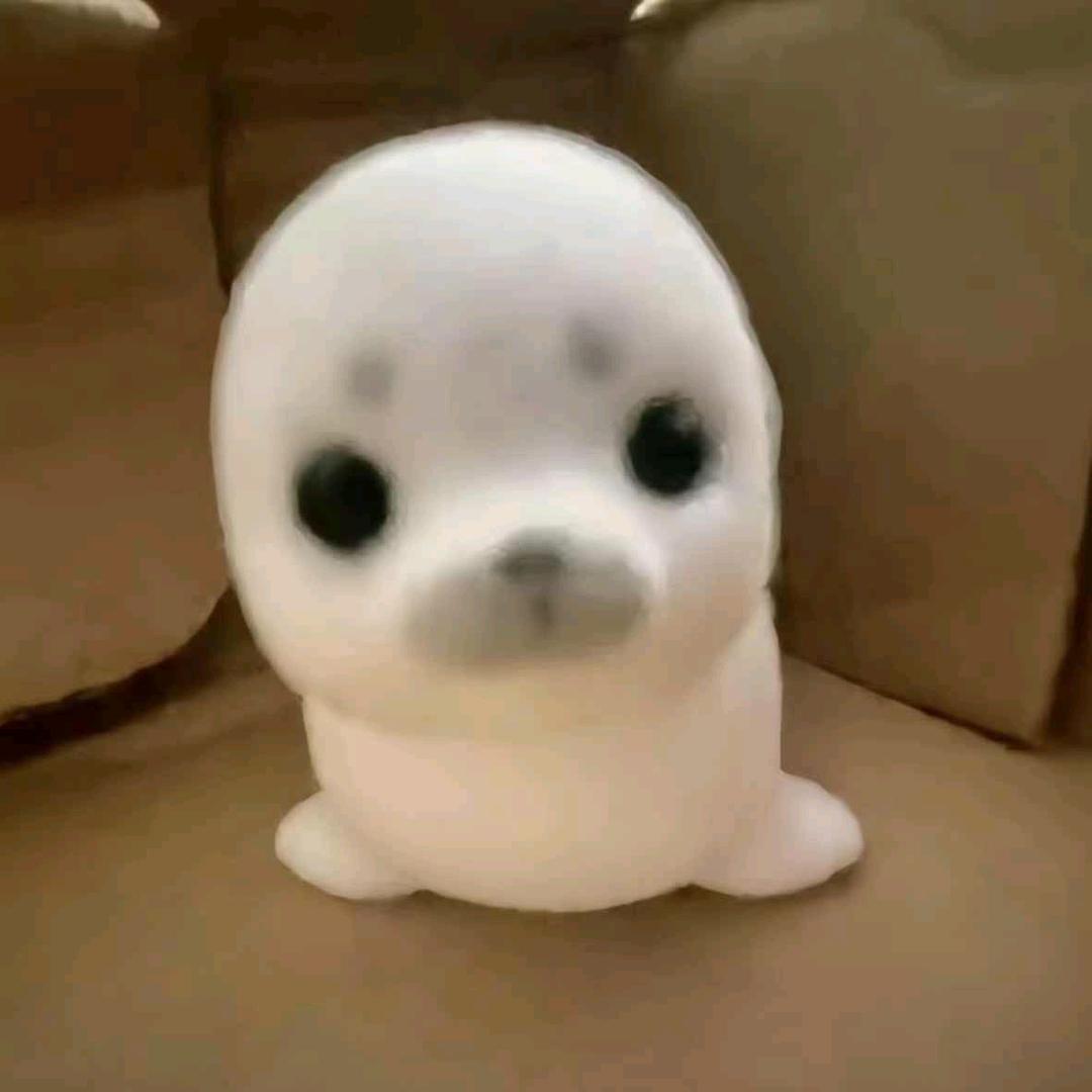 小杨爱打王者