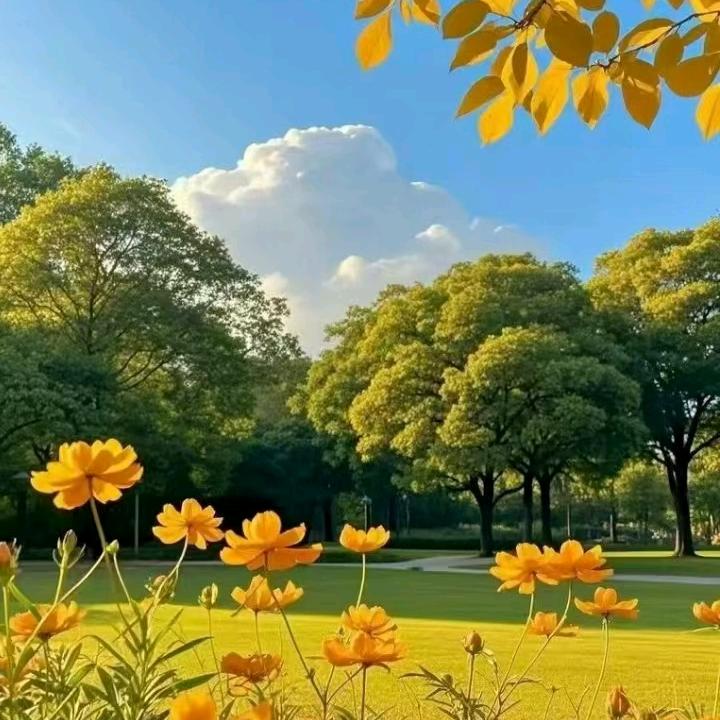 灑脫