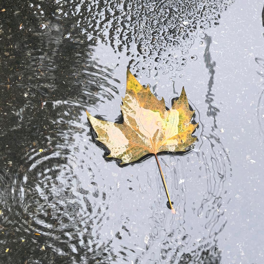 仙女不讲李❣️