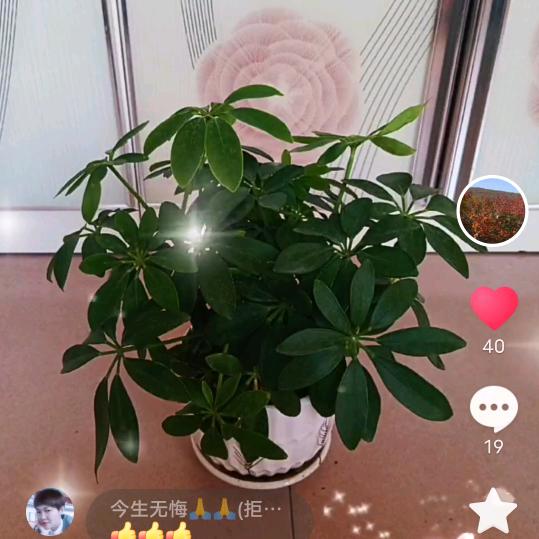 偷偷吻🌙月亮