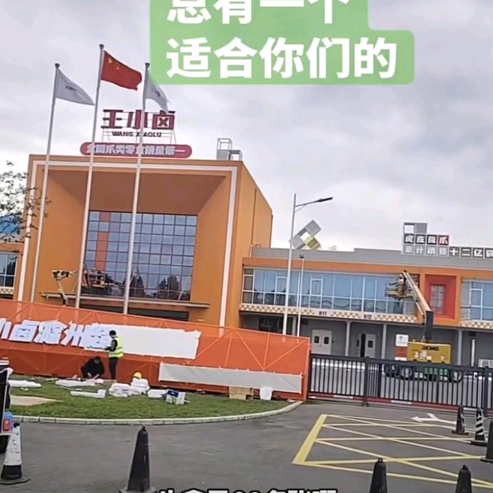 风里雨里我在梦里等你