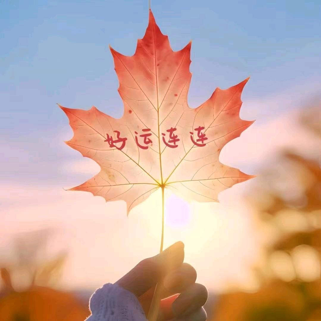 缘装修日记