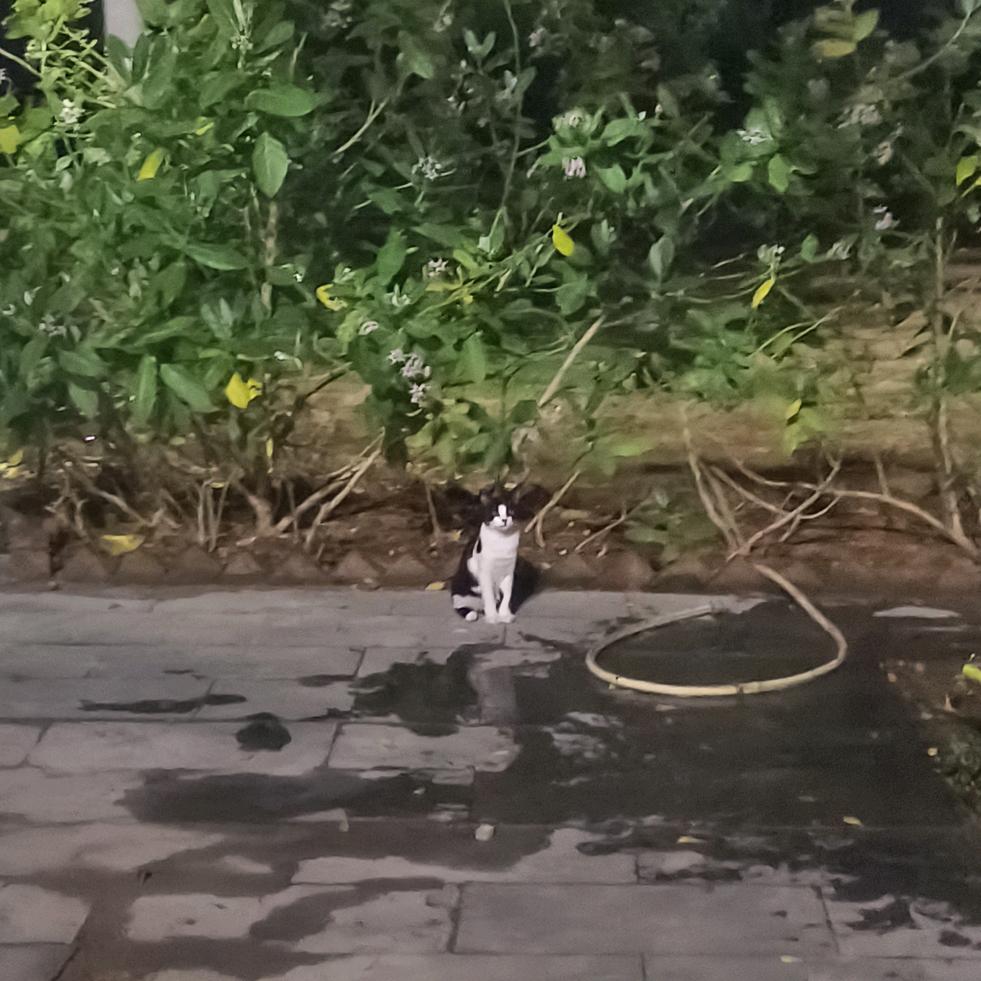 喜欢小小↓痣