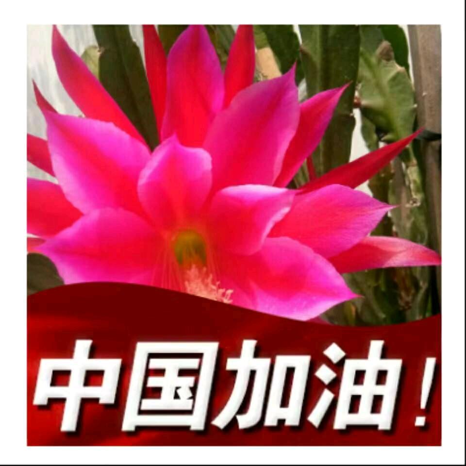 《注销》