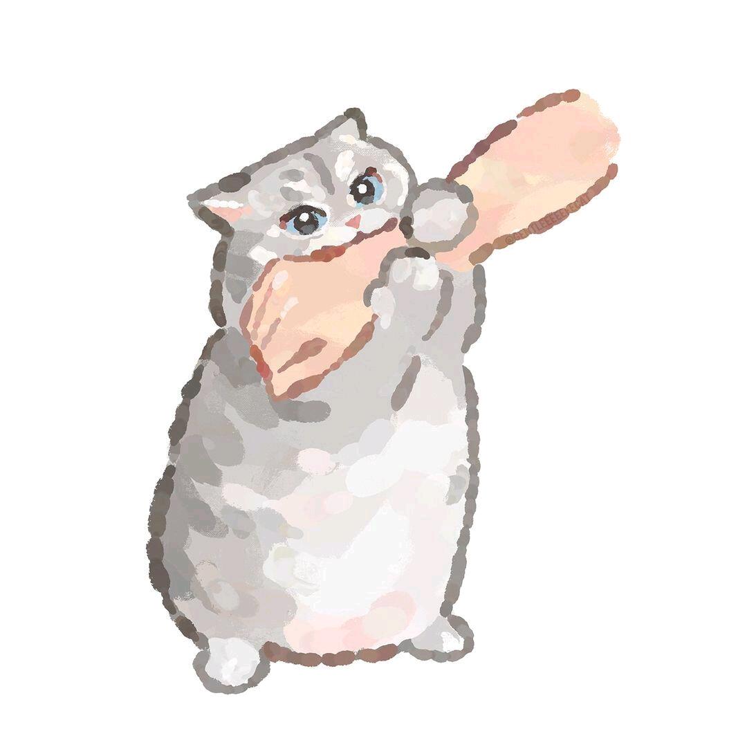 半猫主义🐱