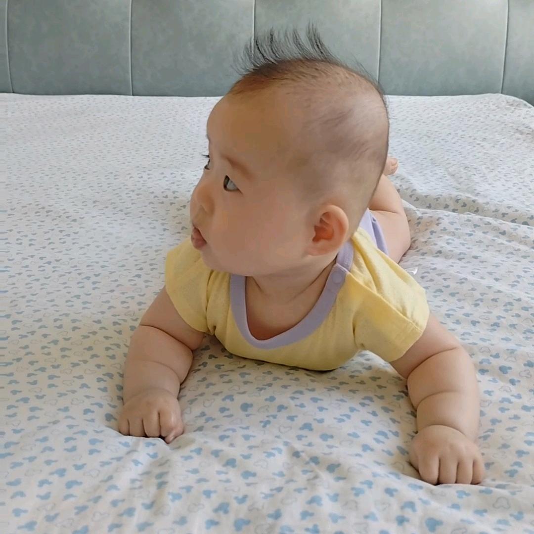 小八一麻麻