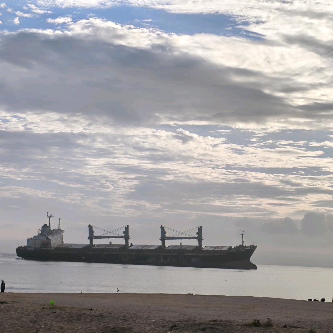 AAA山东建材暴龙总