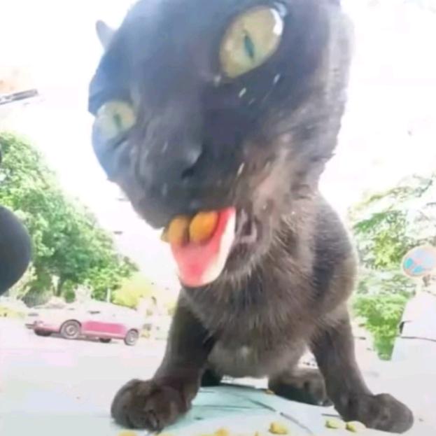 网抑云