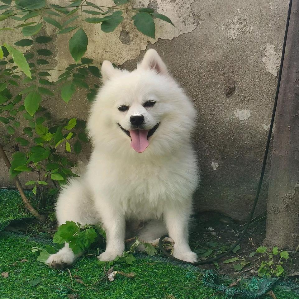 云朵是什么样子