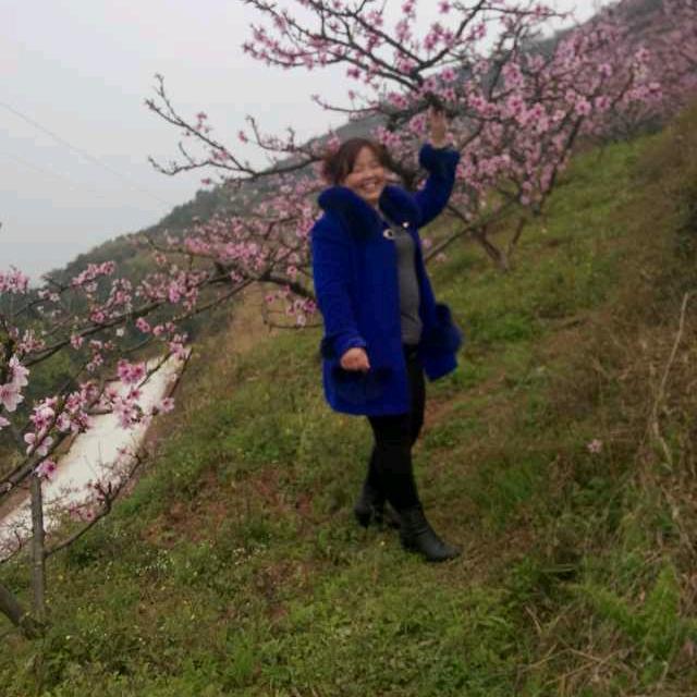 一帆风顺