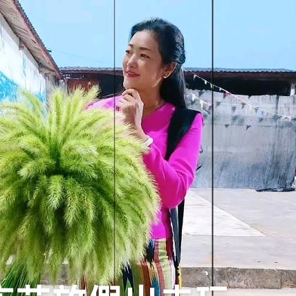 赛🍂🍃🌺🍁