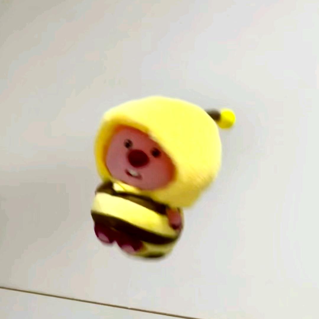 碗儿菌