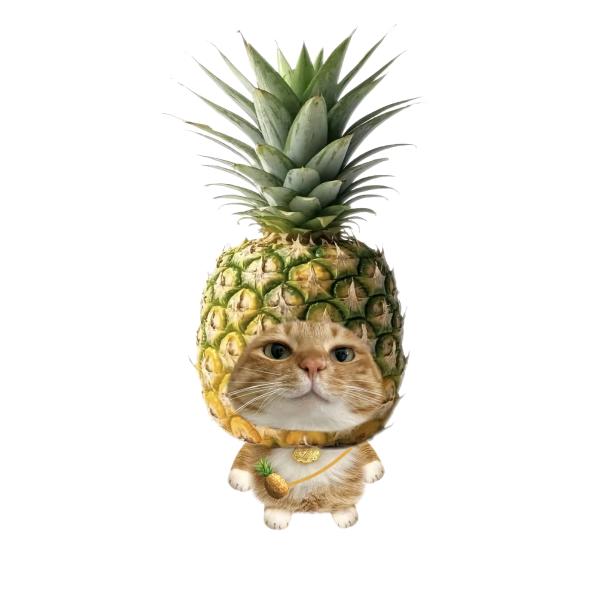 pp🐱