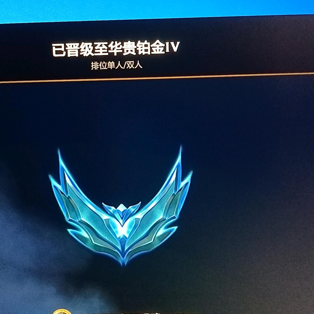 赵信专场
