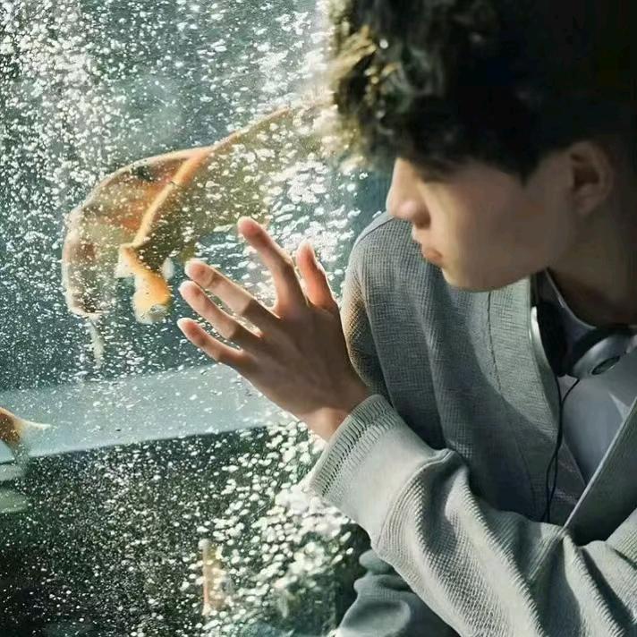 有风无风皆自由