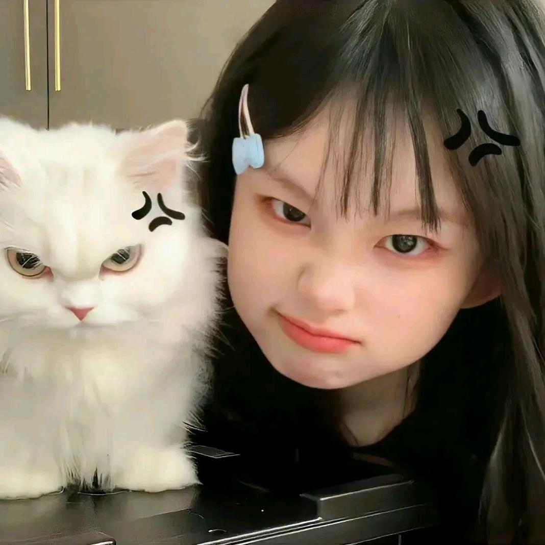 猫了个腻