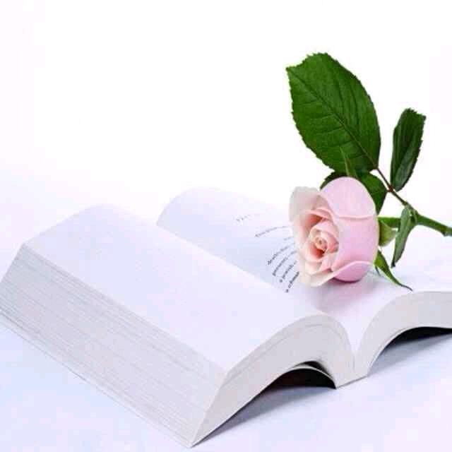 💕᭄心若ོ࿆无尘᭄🕊