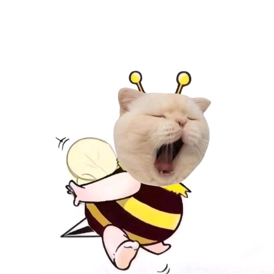 喵bee