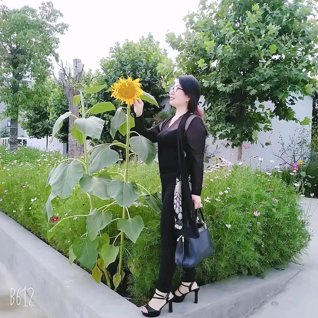 赵静