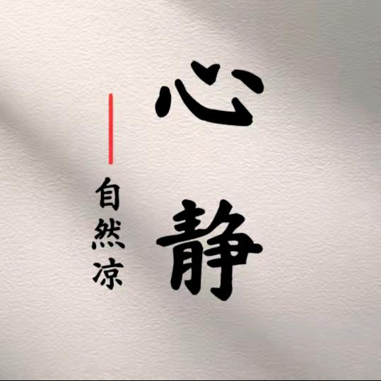 静心看世界