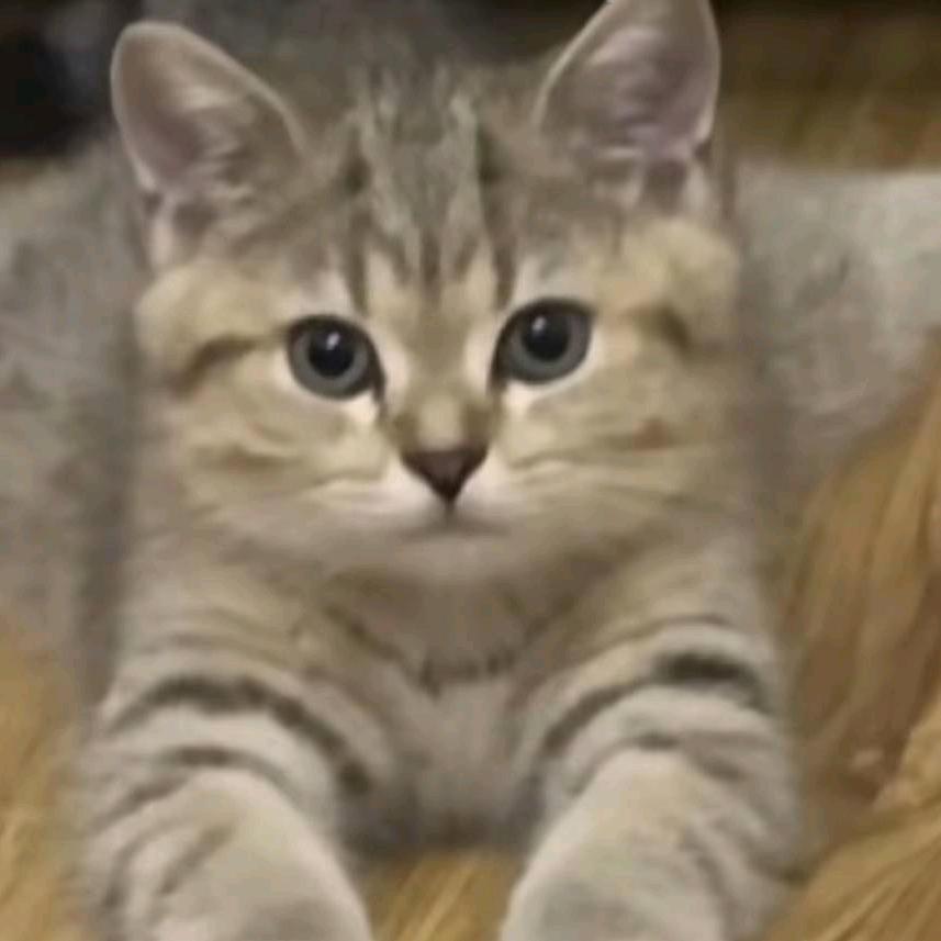 永远很好✨✨✨