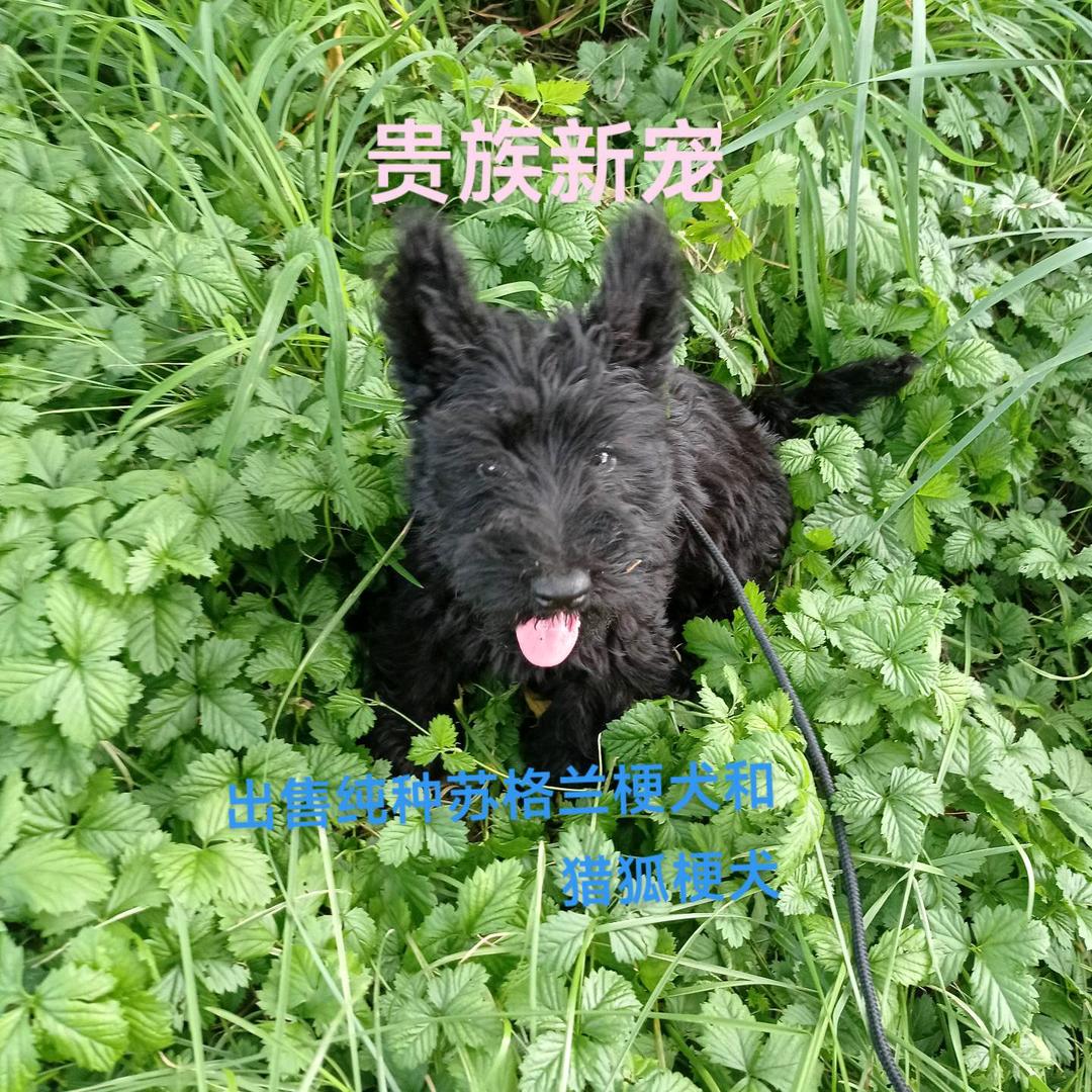 快乐🙂