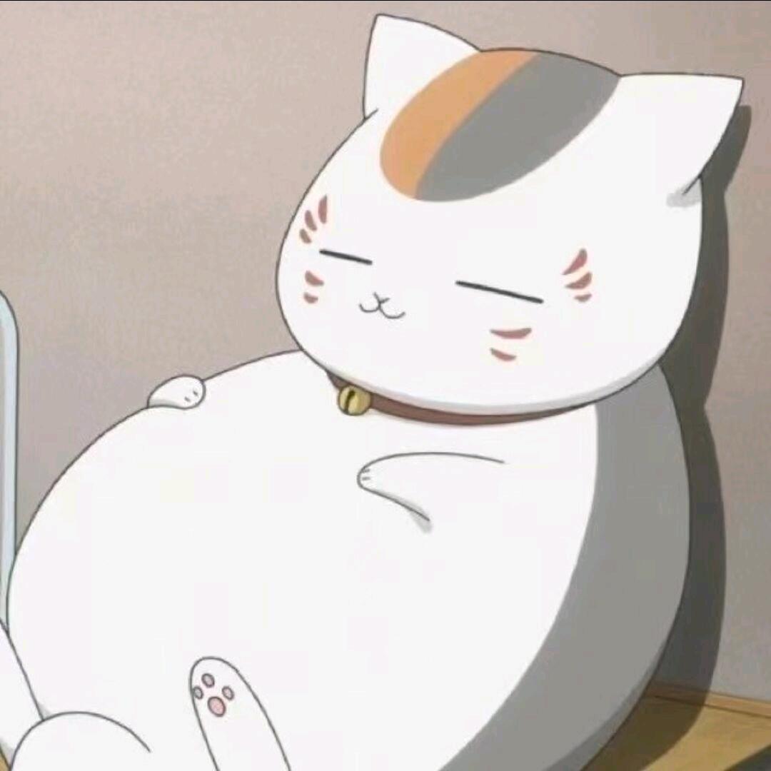 拼好饭神券e