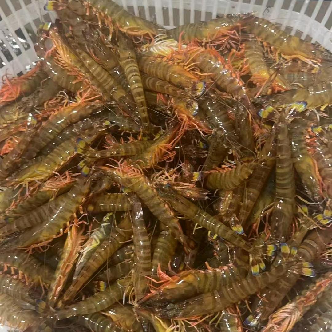 斌哥海鲜鲜