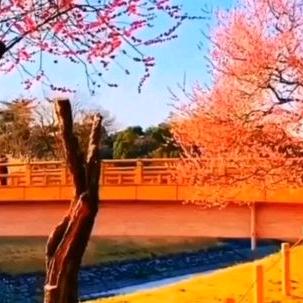 穷再路边无人问富在深山有远亲