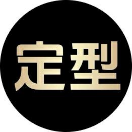 *我是定型