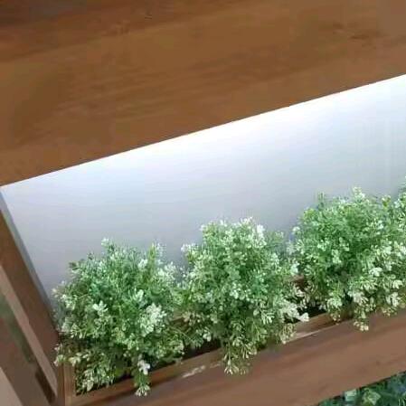 暖暖吖