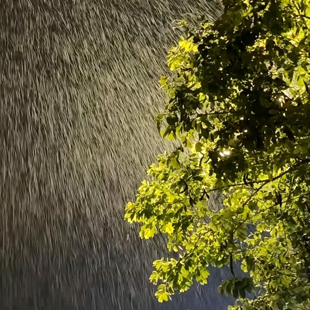 洋Λ洋