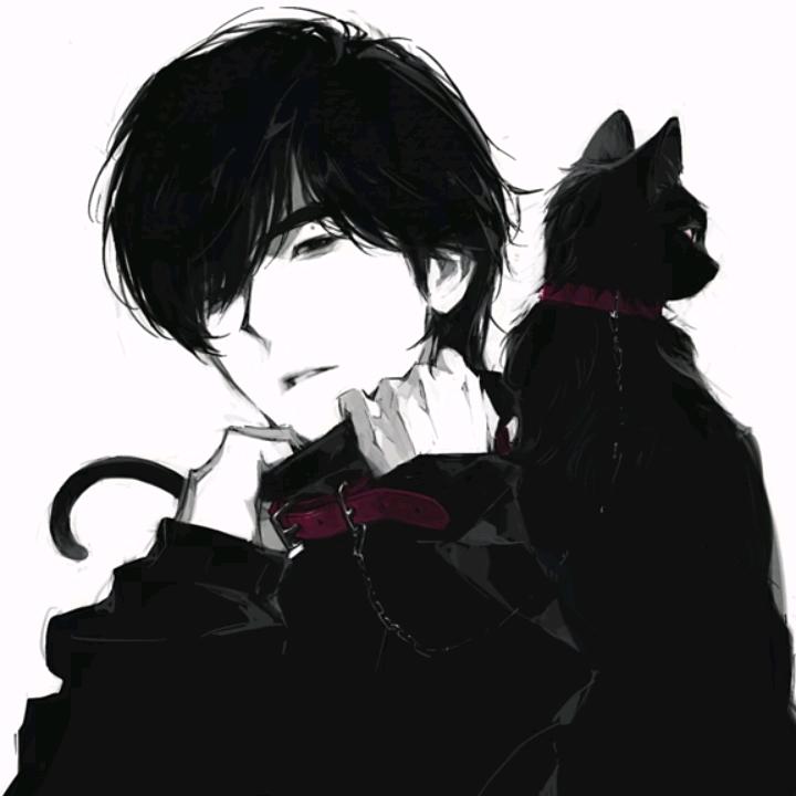 豪猫
