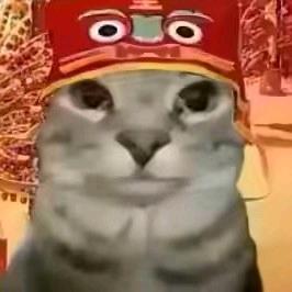 只阴昵太美
