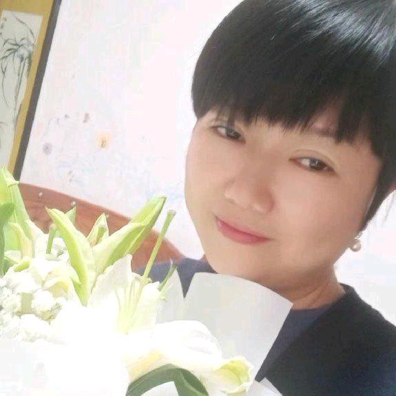 懒猫