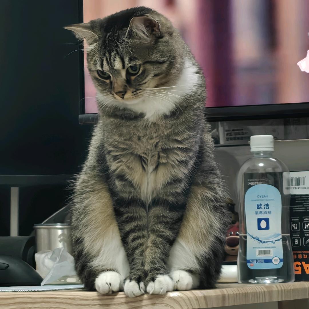 马赛克不是马赛克