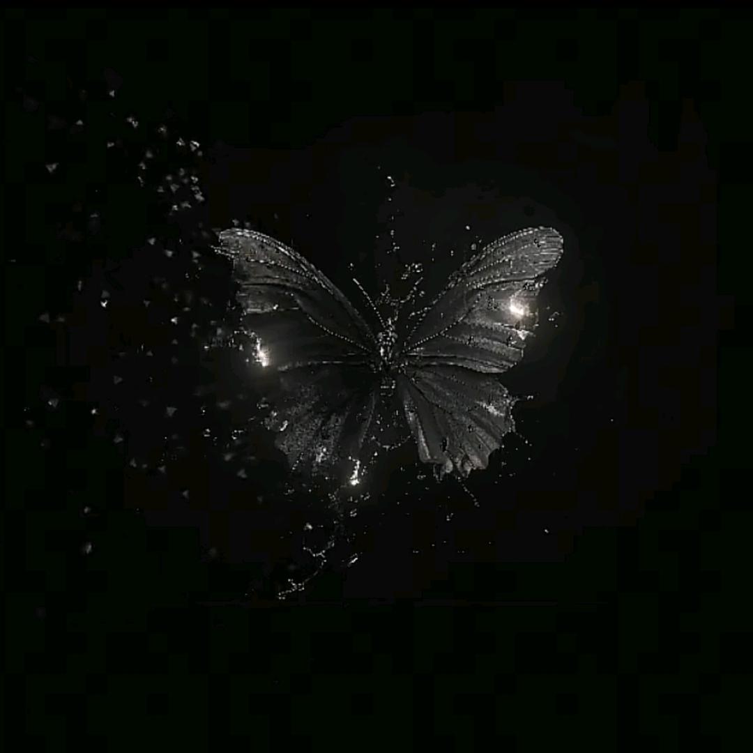 🥀ღ易散ꦿᮨ້໌