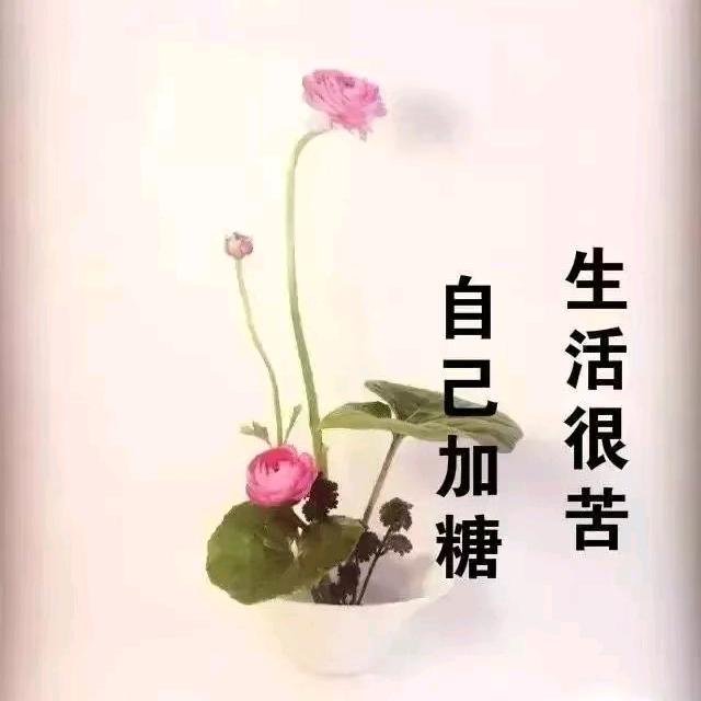 楠楠