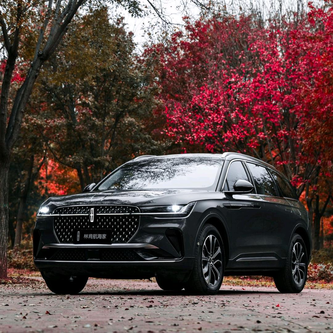 阜阳海博林肯-老谭