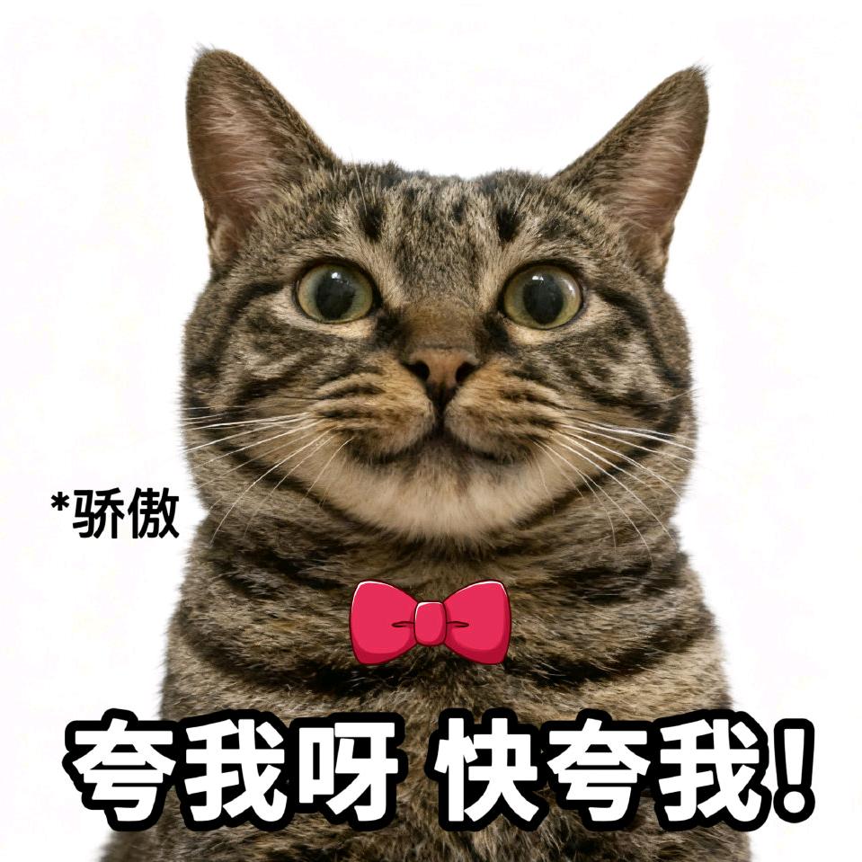 匿名用户是我