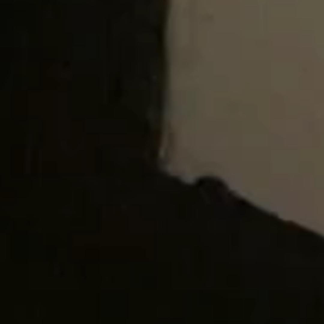 樊伯约
