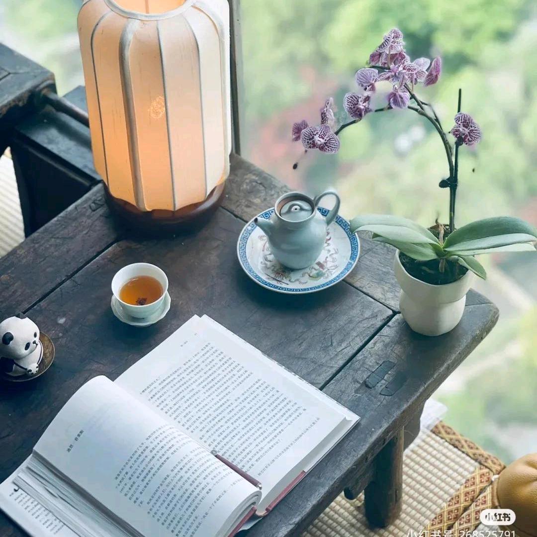 乐丰智造电磁炒锅/滤油机/榨油机配套设备