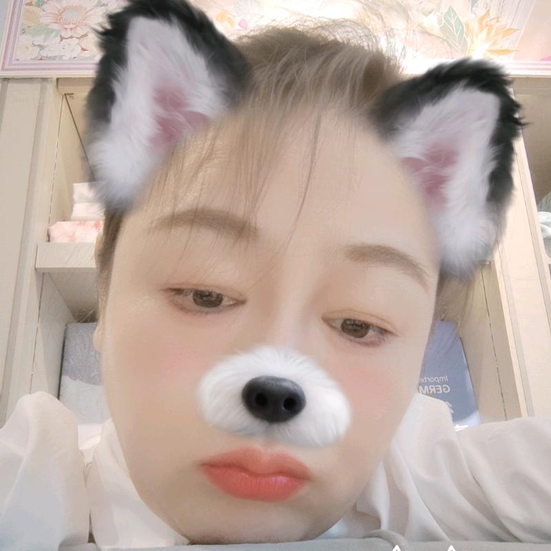 雏菊