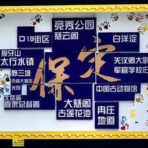 保定大崔 (电销卡 线路）