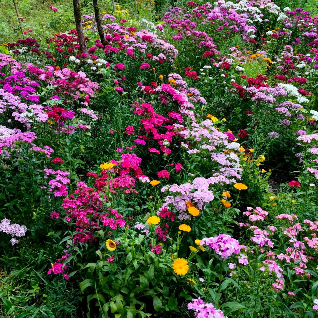 🐉(づ￣³￣)づ